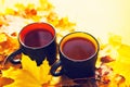 Two cups of tea on autumn bright yellow-red foliage, copy space.