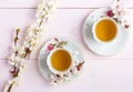 Two cups of tea and spring flowers blooms of an Apricot on a light pink wooden table