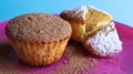 Two curd cakes sprinkled with chocolate and icing sugar on a pink plate, on a blue background. Dessert, a small cupcake. white