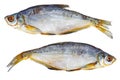 Two cured white-eye bream Ballerus sapa fishes isolated on a white