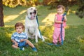 Two cute adorable little Caucasian baby girl and boy sitting with dog in park outside Royalty Free Stock Photo