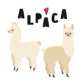 Two cute alpacas illustration with lettering, isolated on white background.