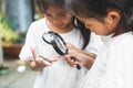 Two cute asian child girls using magnifying glass watching and learning on grasshopper that stick on hand with curious and fun