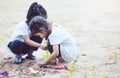 Two cute asian little child girls having fun to play with sand Royalty Free Stock Photo