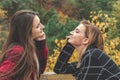 Two cute beautiful young women having conversation in park Royalty Free Stock Photo