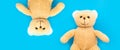 Two cute brown teddy bears child toy with open arms and heads side by side upside down in opposite directions.