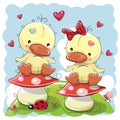 Two Cute Cartoon Ducks Royalty Free Stock Photo