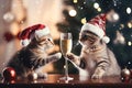 Two cute cats in Christmas hats next to a glass of champagne in the background of Christmas decorations. Fluffy cats Royalty Free Stock Photo