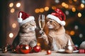 Two cute cats in Christmas hats next to a glass of champagne in the background of Christmas decorations. Fluffy cats Royalty Free Stock Photo