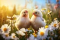 Two chickens on a green meadow with flowers in summer, generated by AI