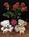 Two cute cuddly teddy bears with red roses in vase and pink bow on wooden table on dark background Royalty Free Stock Photo