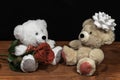 Two cute cuddly teddy bears with single red rose iand white bow on wooden table on dark background Royalty Free Stock Photo