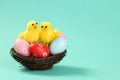 Two cute decorative chickens sitting on a colorful painted eggs in a bird`s nest. Light turquoise background with copy space. Royalty Free Stock Photo