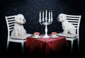 Two Cute Dogs Having Date