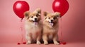 Two cute dogs in love with balloons on a pink background Royalty Free Stock Photo