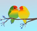 Two cute egg shaped peach faced lovebirds cuddling Royalty Free Stock Photo