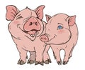 Two cute funny pig on white background