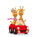 Two cute giraffes in a car traveling. Children`s print on clothes, greeting card, party invitation. Hand drawn vector illustratio