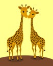 Two cute giraffes are happy because they are in love with each other.
