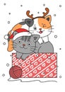 Two Cute Hand Drawn Christmas Kitty Cats In A Box