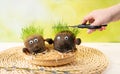 Two cute homemade grass heads and hand trimming growing hair grass.