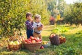 Two cute kids picking apples in a garden