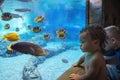 Two cute kids watching a variety of colorful reef fish in a large aquarium