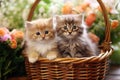 Two cute kittens are sitting in a wicker basket against the background of flowers.Generative AI Royalty Free Stock Photo