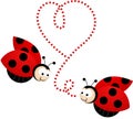 Two cute ladybirds in love