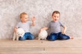 Two cute little baby boys playing with little white puppies Royalty Free Stock Photo