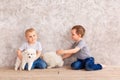 Two cute little baby boys playing with little white puppies Royalty Free Stock Photo