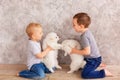 Two cute little baby boys playing with little white puppies Royalty Free Stock Photo