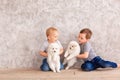 Two cute little baby boys playing with little white puppies Royalty Free Stock Photo