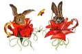 Two cute little bunnies in a cup of tea from a red rose. Two rabbits in love