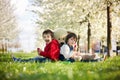 Two cute little children, boy brothers, eating strawberry in the Royalty Free Stock Photo