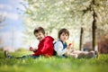 Two cute little children, boy brothers, eating strawberry in the Royalty Free Stock Photo