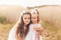 Two cute little girls in dresses hugging in nature in the summer Royalty Free Stock Photo