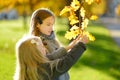 Two cute little girls having fun on beautiful autumn day. Happy children playing in autumn park. Kids gathering yellow fall foliag Royalty Free Stock Photo