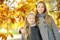 Two cute little girls having fun on beautiful autumn day. Happy children playing in autumn park. Kids gathering yellow fall foliag Royalty Free Stock Photo