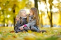 Two cute little girls having fun on beautiful autumn day. Happy children playing in autumn park. Kids gathering yellow fall foliag Royalty Free Stock Photo