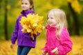 Two cute little girls having fun on beautiful autumn day. Happy children playing in autumn park. Kids gathering yellow fall foliag Royalty Free Stock Photo