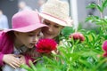 Two cute little girls, sisters or siblings playing with violet flowers in the garden on a summer day Royalty Free Stock Photo