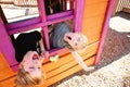 Two Cute Little Kids Playing Outside in a Club House at a Playground, Making Funny Faces