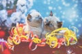 Two cute little kittens with Christmas decorations Royalty Free Stock Photo