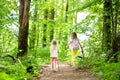 Two cute little sisters having fun during forest hike on beautiful summer day. Active family leisure with kids. Royalty Free Stock Photo