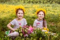 Two cute little sisters having fun while sitting on the grass Royalty Free Stock Photo