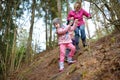 Two cute little sisters hiking in a forest with their grandmother on beautiful spring day. Children exploring nature Royalty Free Stock Photo