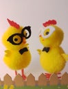 Two cute little yellow Easter chicks behind a fence on a white background Royalty Free Stock Photo