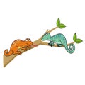 Two cute lizards on a tree branch Royalty Free Stock Photo