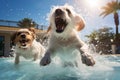 Two cute Maltese dogs enjoy playing in pet friendly hotel swimming pool on vacation. Generative AI